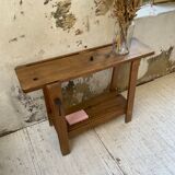 Established XS in cherry tree