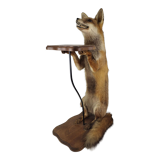 Stuffed Taxidermy Fox Stuffed