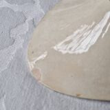 Ravier H. Boulenger, Lyonnais