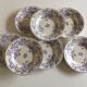 Set of 7 soup plates earthenware of Sarreguemines circa 1870 décor thorns