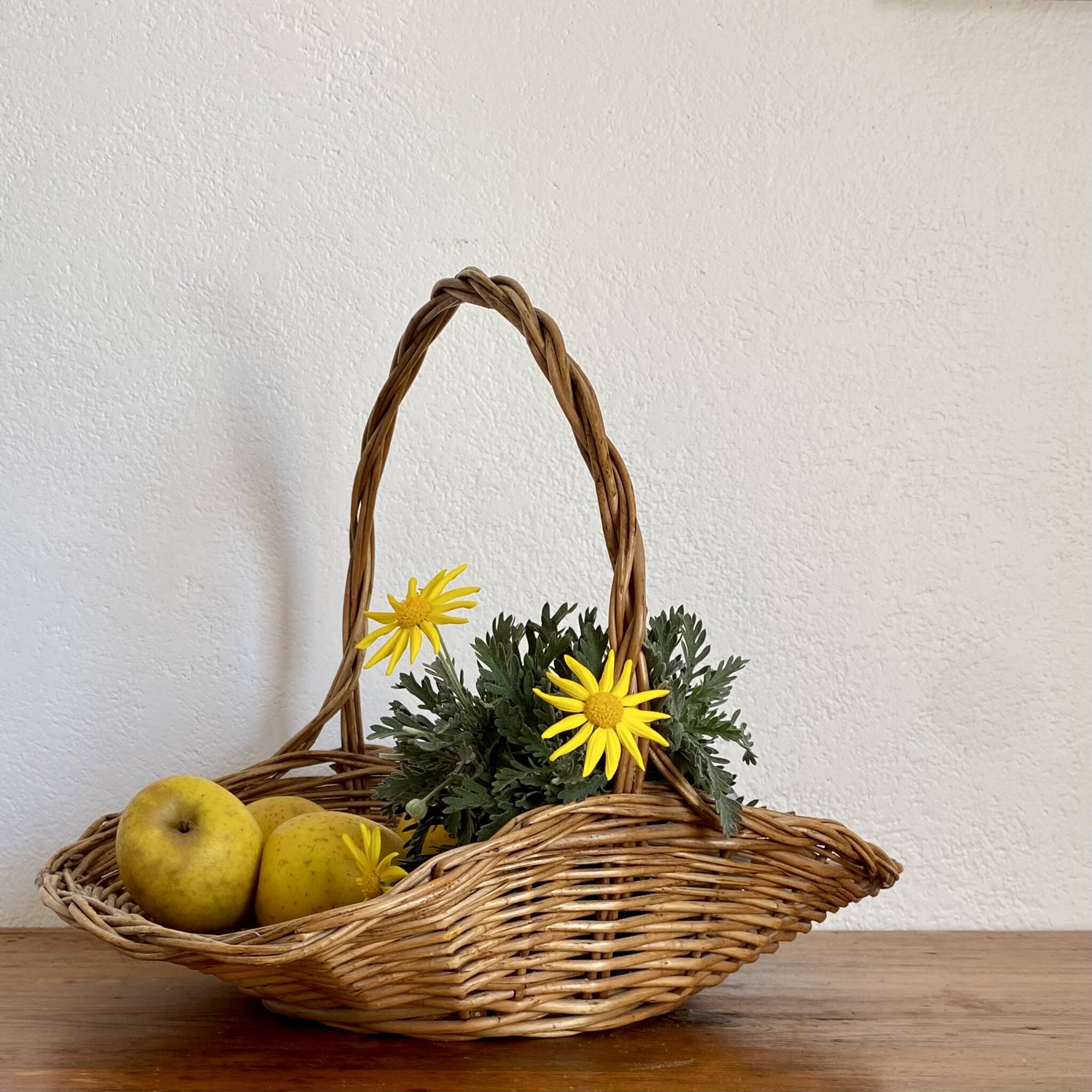 Wicker picking basket