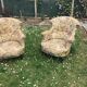 2 19th century toad armchairs