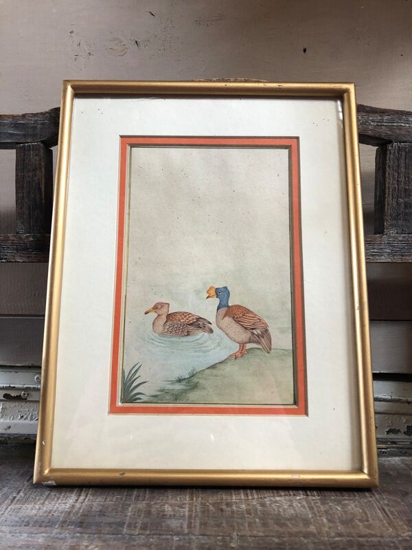 Ancien tableau dessin aquarelle vue canards + cadre doré vintage