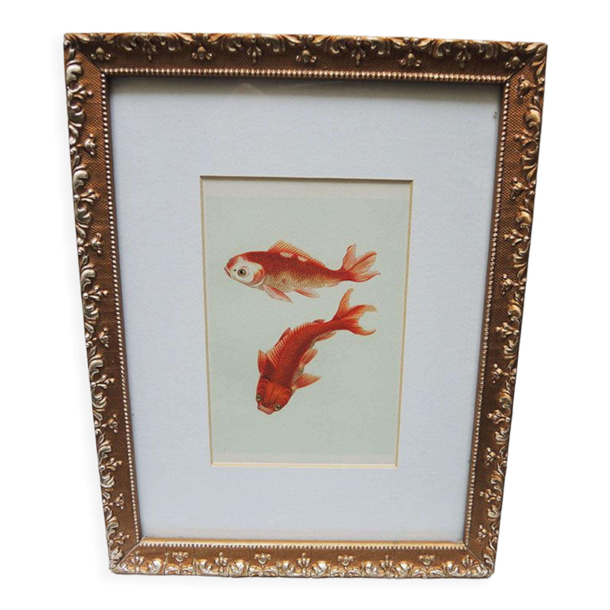 Old framed lithograph: goldfish
