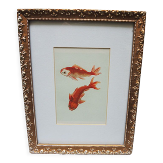 Ancienne lithographie encadrée : poissons rouges