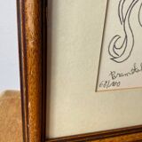 Parametabolisms, Jean Cocteau