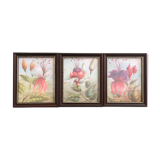 Suite of 3 floral illustrations