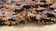 Boucherouite carpet - 170 x 240 cm