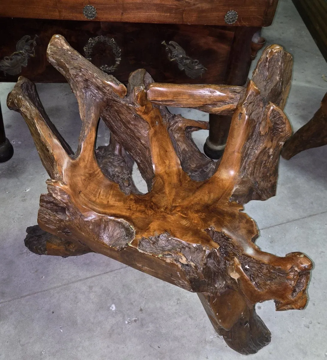 Rare fauteuil en racine d'arbre