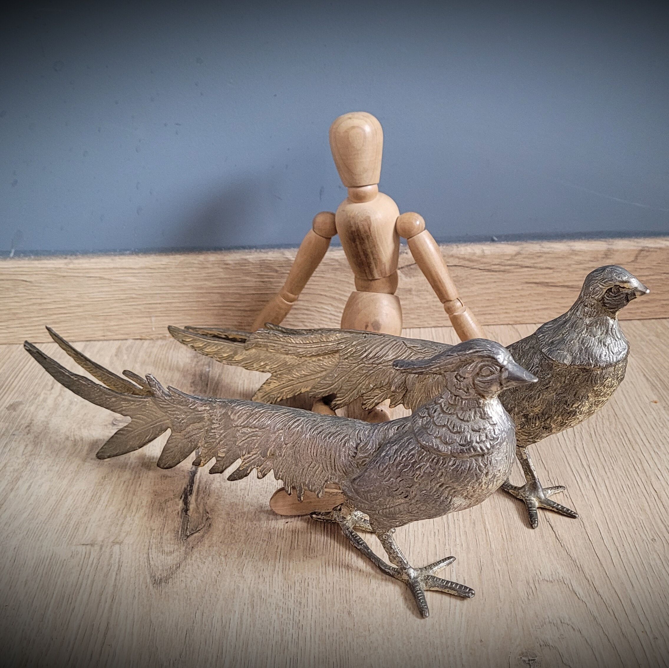 DuO of peacocks