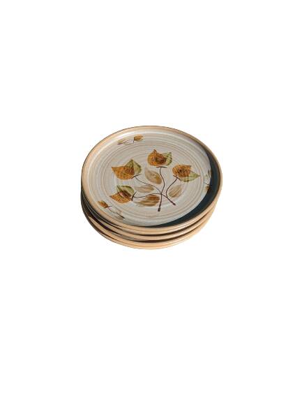 5 dinner plates and 5 small plates Niderviller model Doria