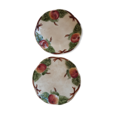 Pair of plates dabbling