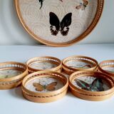 Butterfly tray and 6 coasters