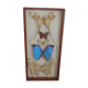 Frame butterflies under glass