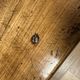 Large cherrywood farmhouse