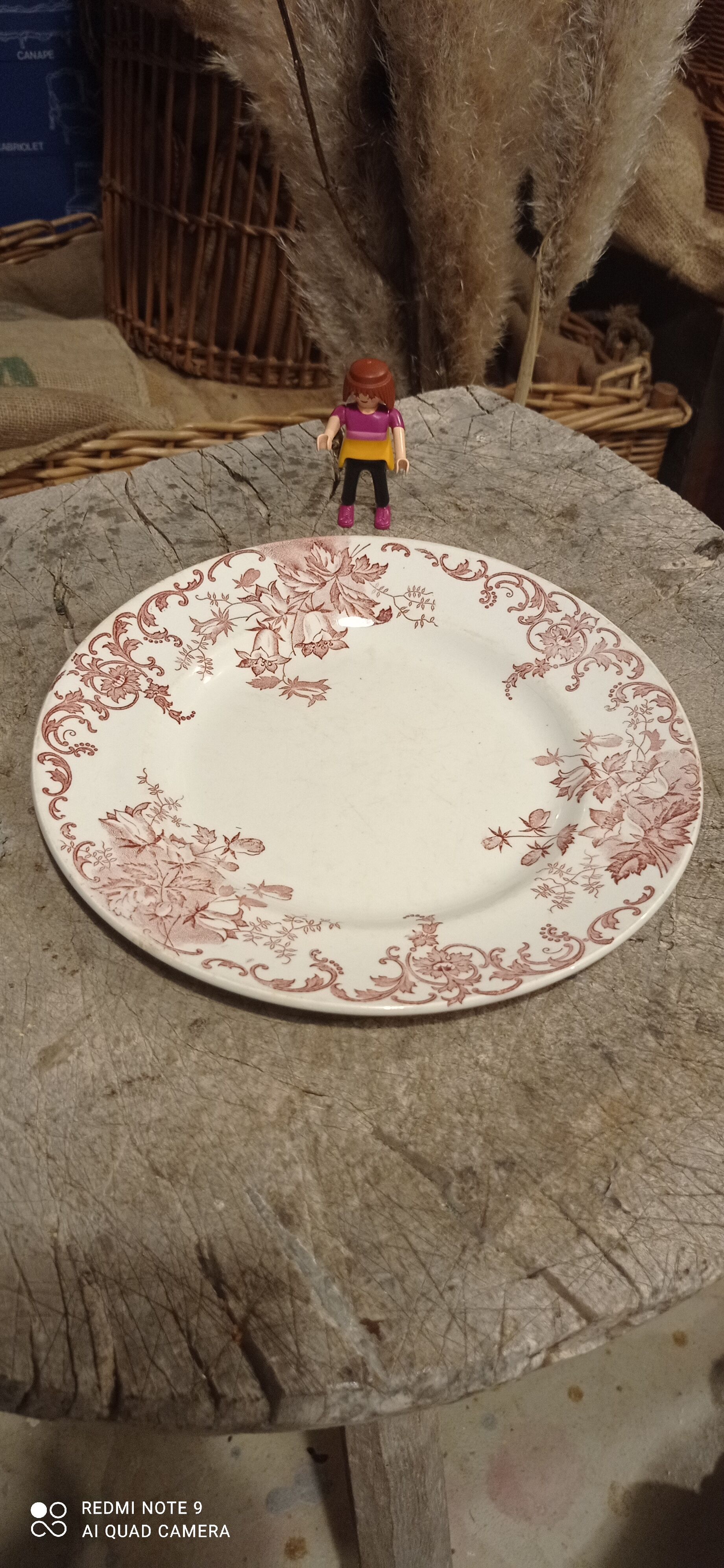 Lot plates iron earth