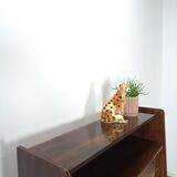 Donker vintage fineer design vitrinekast Jirak, boekenkast