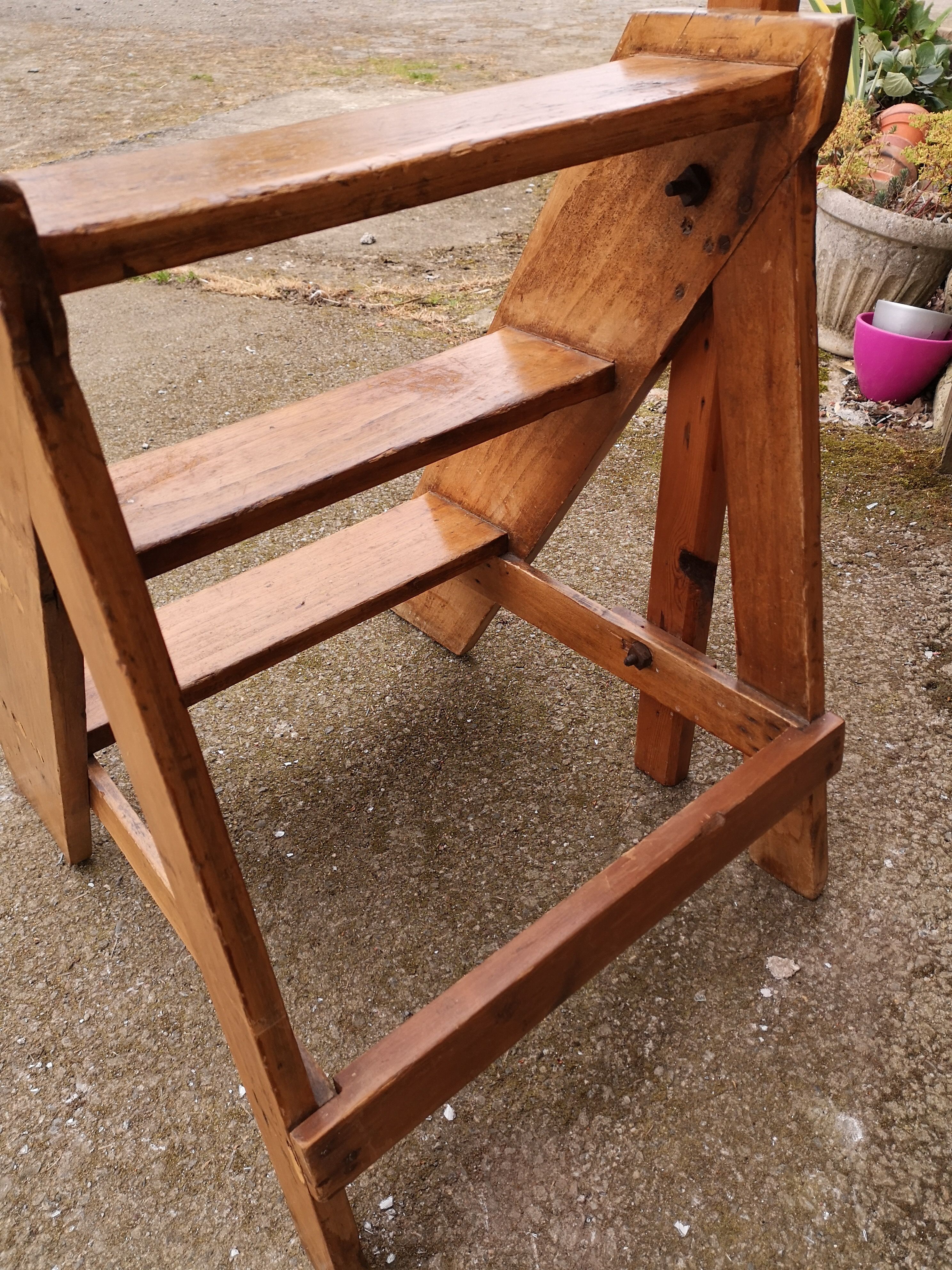 Library ladder said giraffe