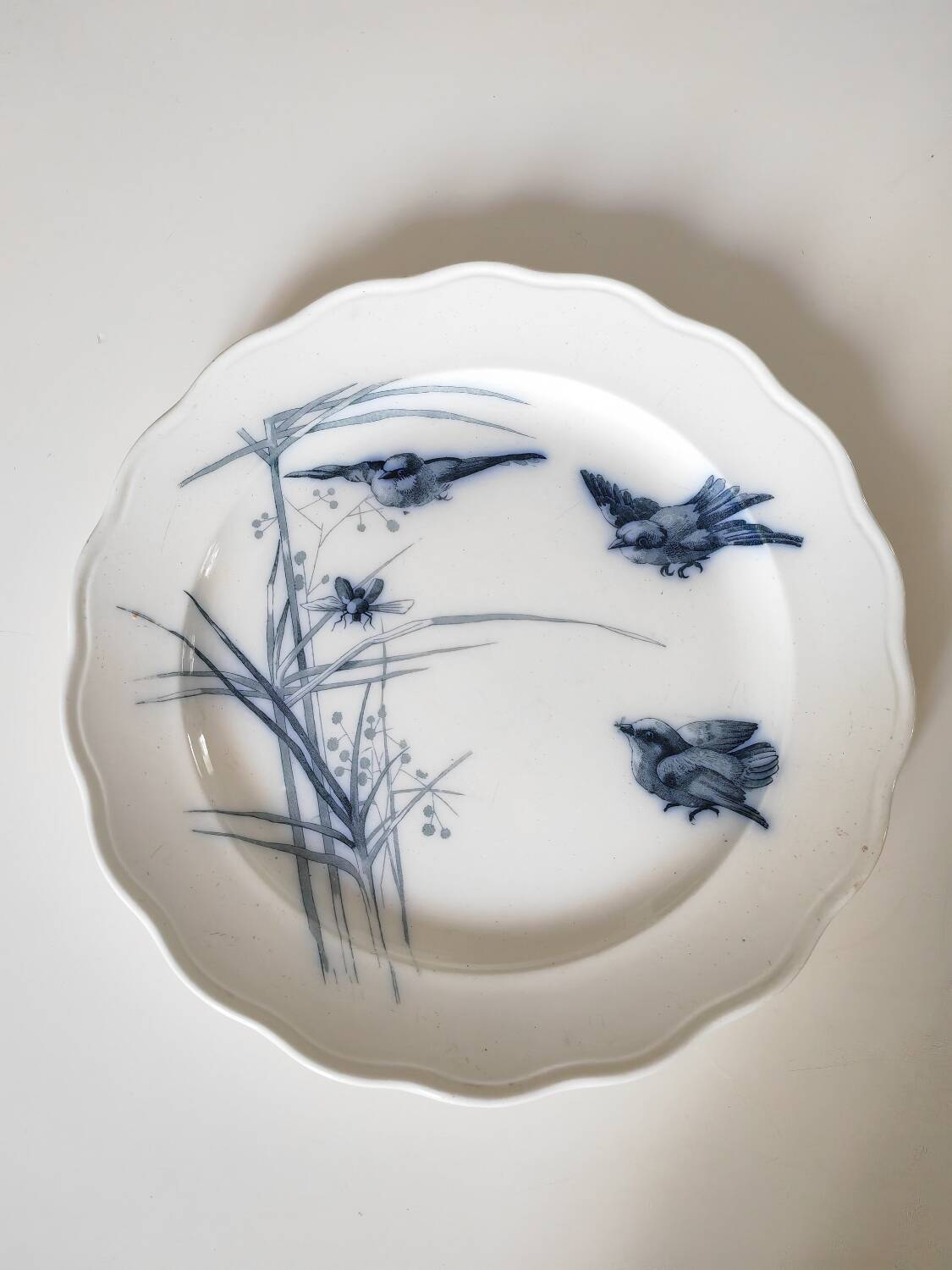 19th century dish bwm&co