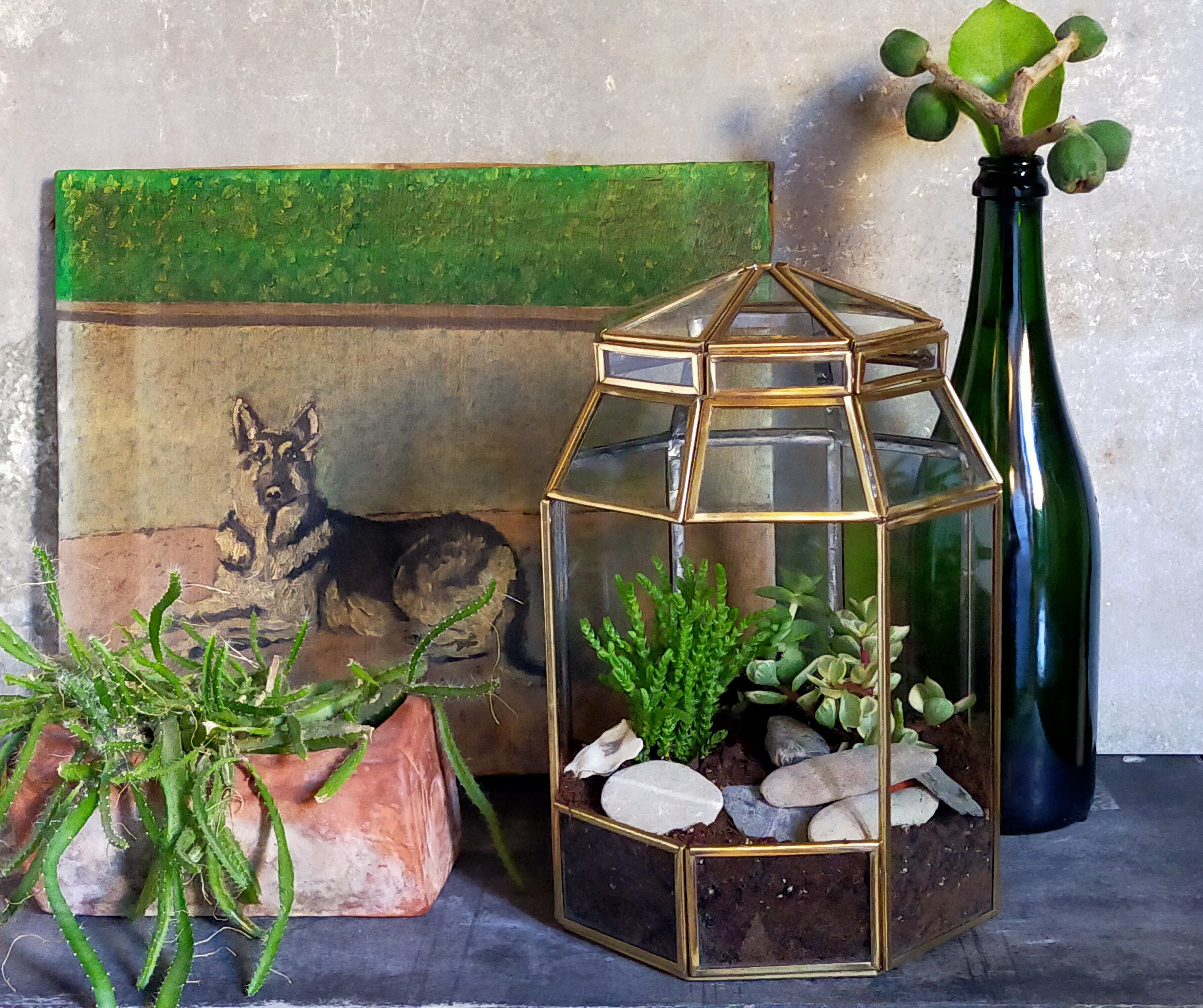 Indoor greenhouse-terrarium in brass