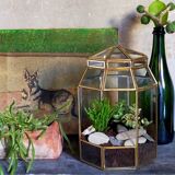 Indoor greenhouse-terrarium in brass