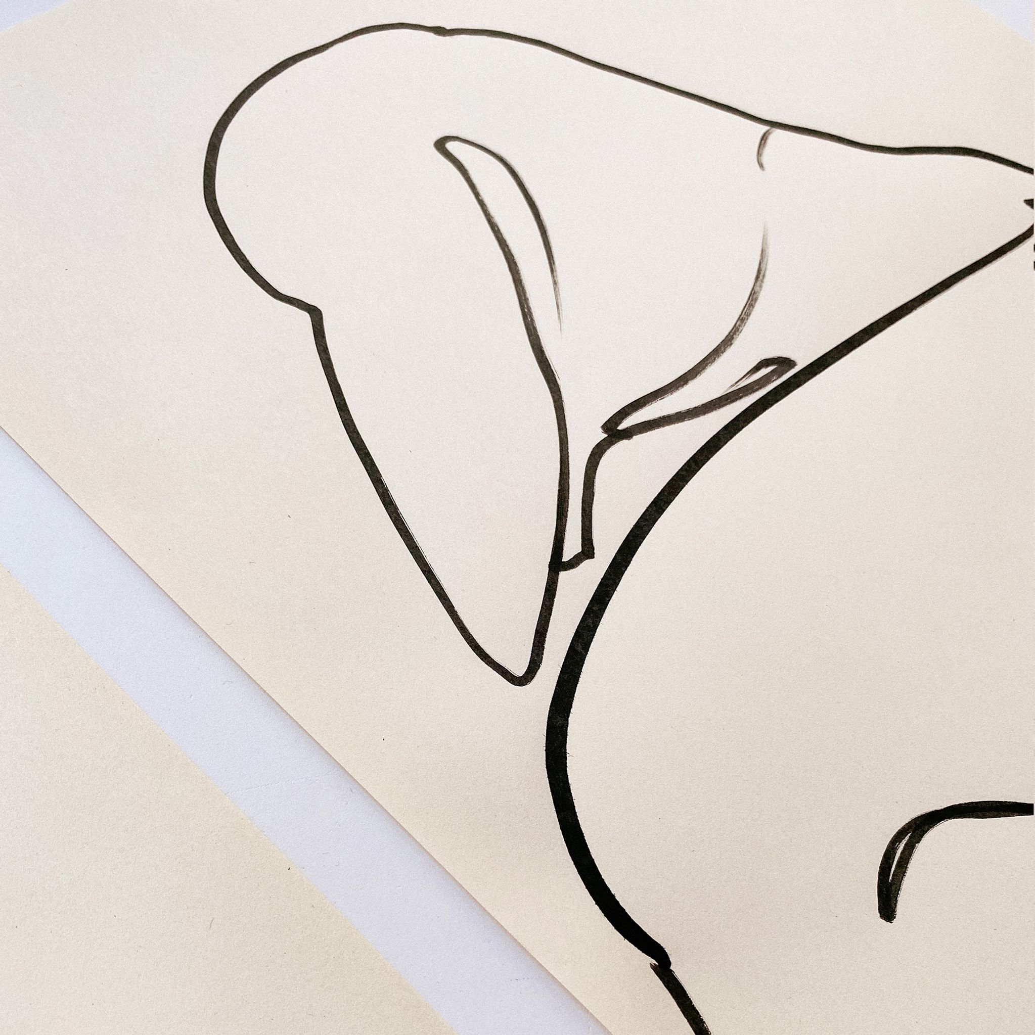Set of 2 - ink drawing on vintage paper