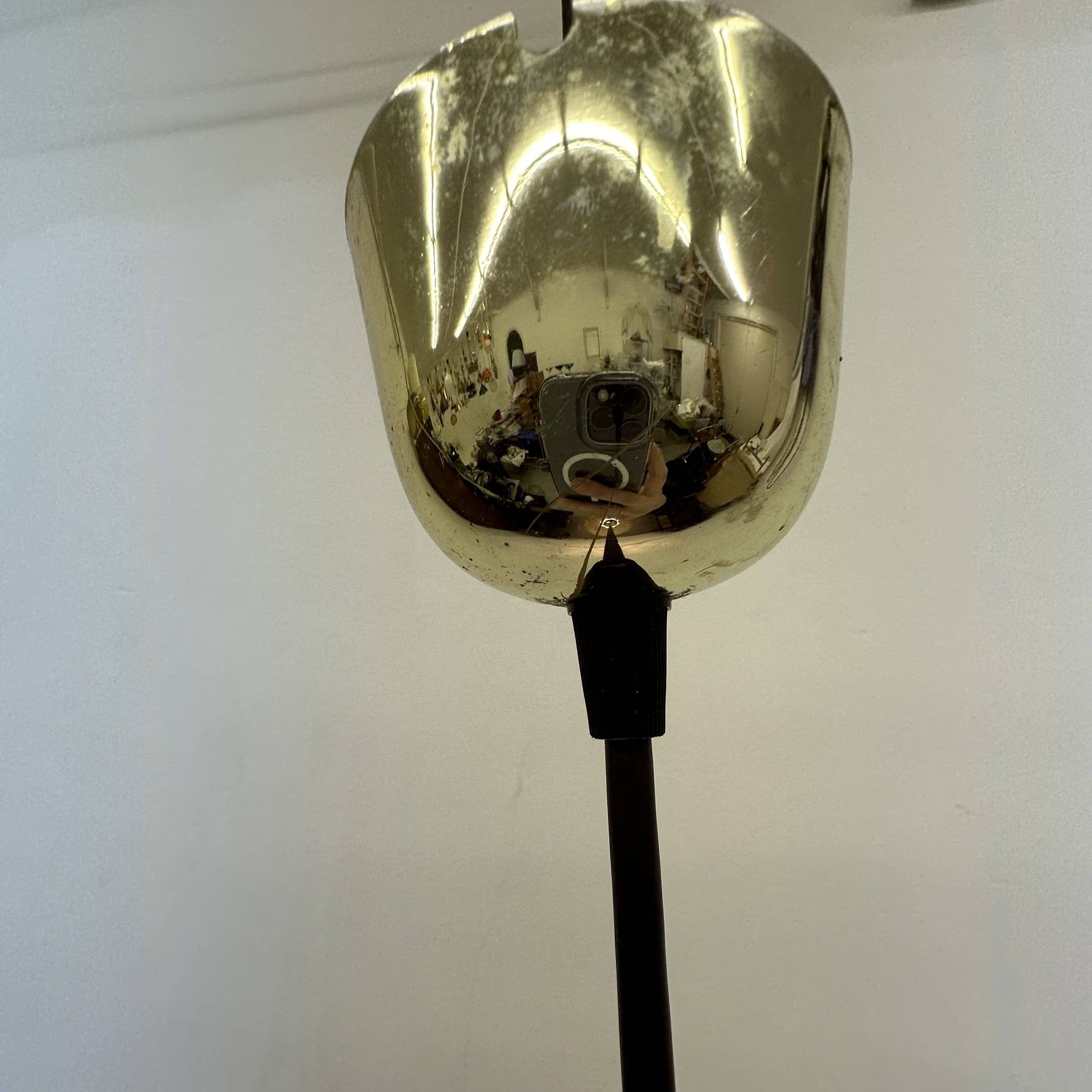 Peil & Putzer glass leaf hanging lamp , 1970’s