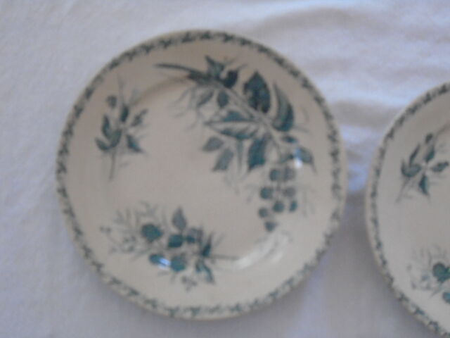 2 Plates faience old Bondonviller decoration MURE wild fruit iron earth diameter 22 cm