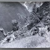 Silver photo Bernard Darot XXth Spring in the mountains