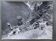 Silver photo Bernard Darot XXth Spring in the mountains