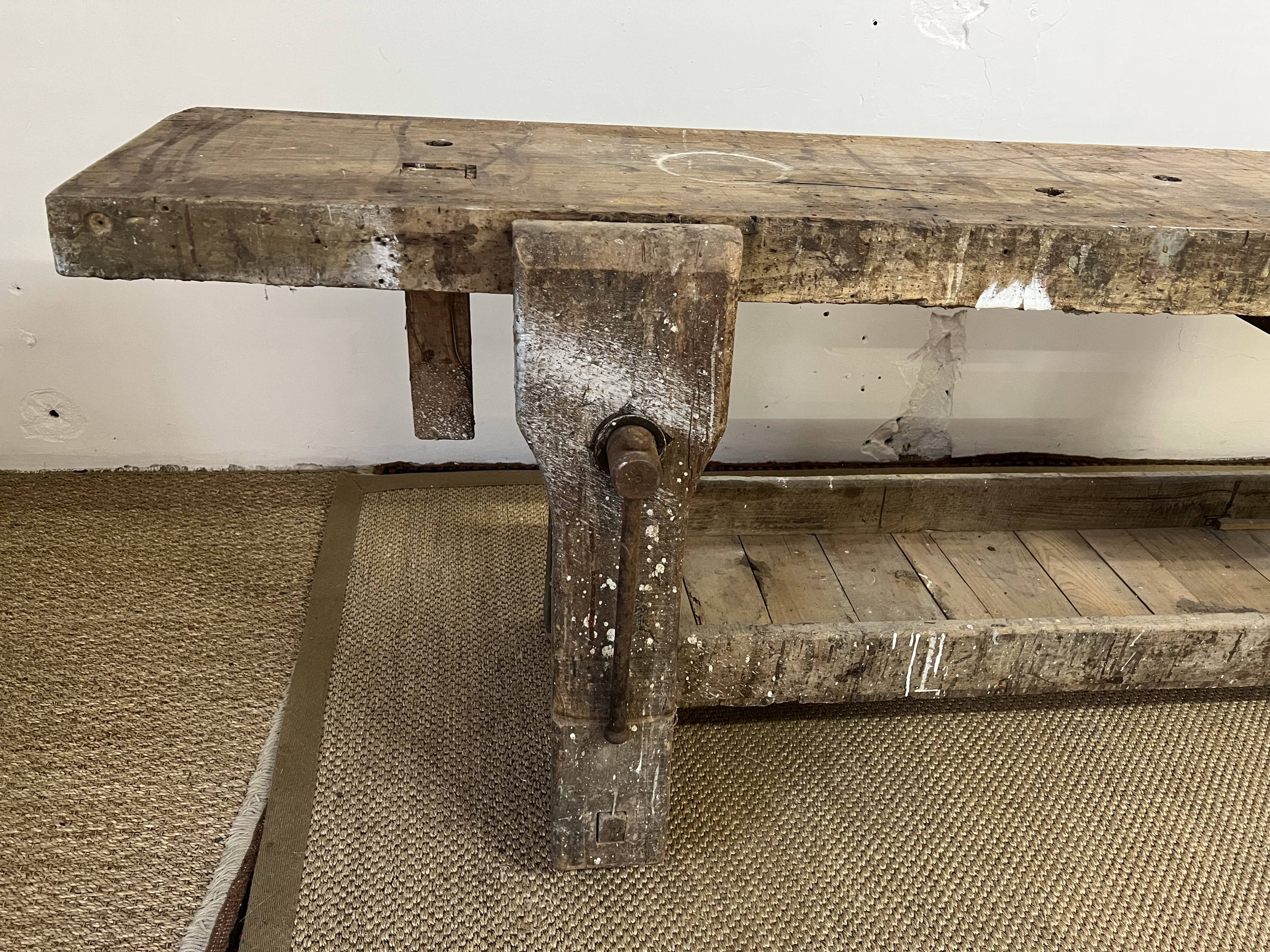 Established in old wood