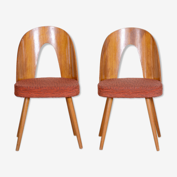 Pair of Mid Century chairs made in 1950s Czechia, designed by Antonín Šuman