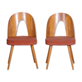 Pair of Mid Century chairs made in 1950s Czechia, designed by Antonín Šuman