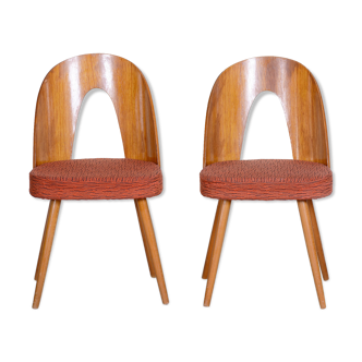 Paire de chaises du milieu du siècle fabriquées en tchéquie des années 1950, conçues par antonín šuman