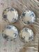 Set of 4 flat ironstone plates by Hippolyte Boulenger