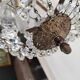 Hot air balloon chandelier and grapevines 2 lights