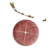 Round plate pink cabbage earthenware
