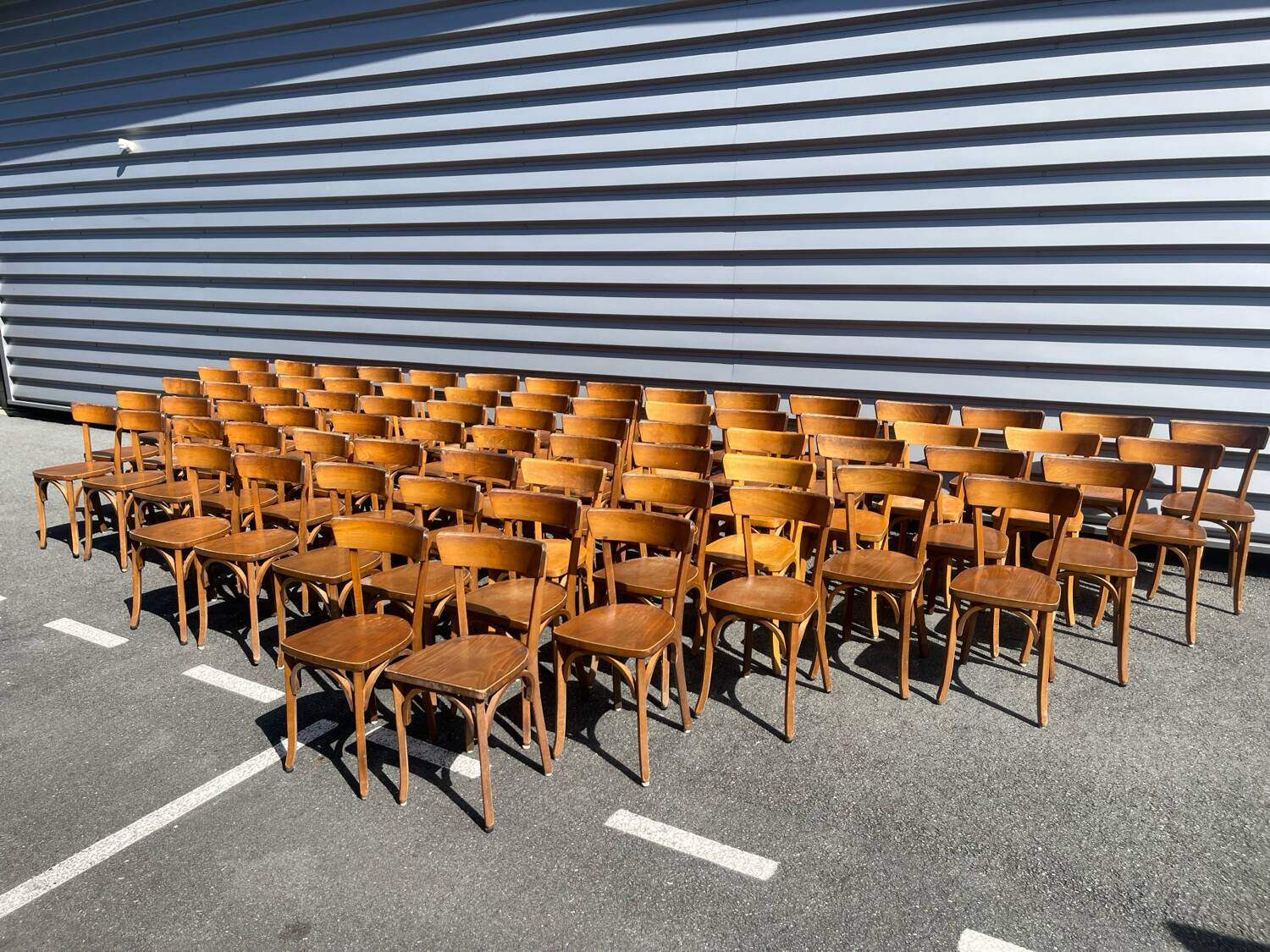 Lot of 60 wooden bistro chairs from the Baumann 1970s