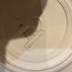 Luneville Flat Plates