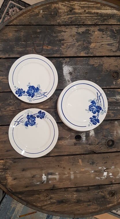 Lot 10 plates Badonviller models Roses