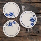 Lot 10 plates Badonviller models Roses