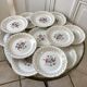 Dessert service cake dish and 12 dessert plates Digoin Sarreguemines Pamplona