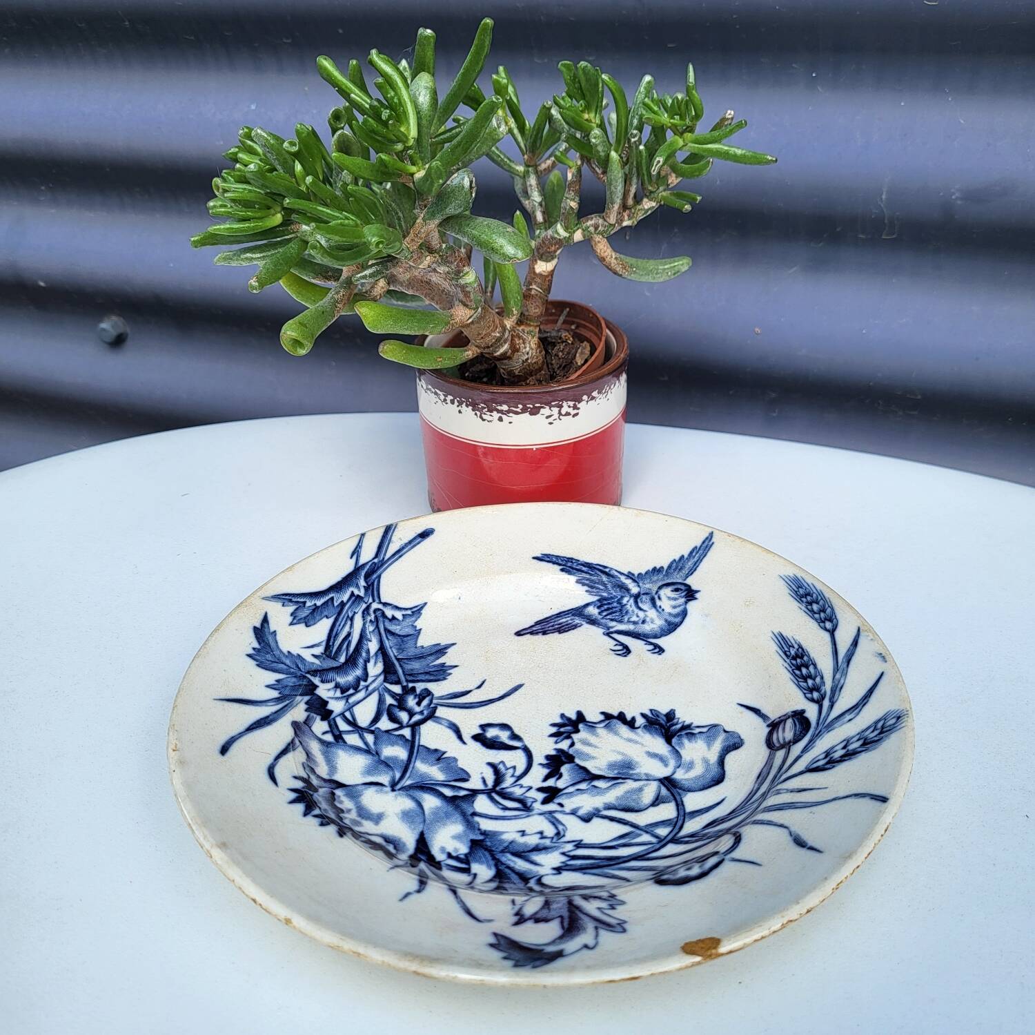 BFK Flora & Vögel Ironstone Plate