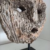 Coral mask