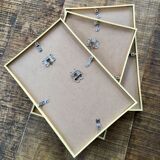 Vintage gold framed botanical illustrations 3