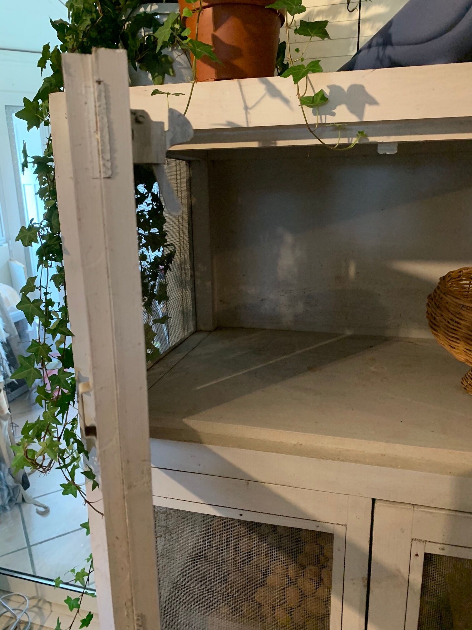 Wardrobe keeps eating