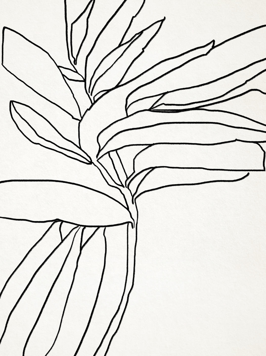 Illustration abstraite, 50x70cm