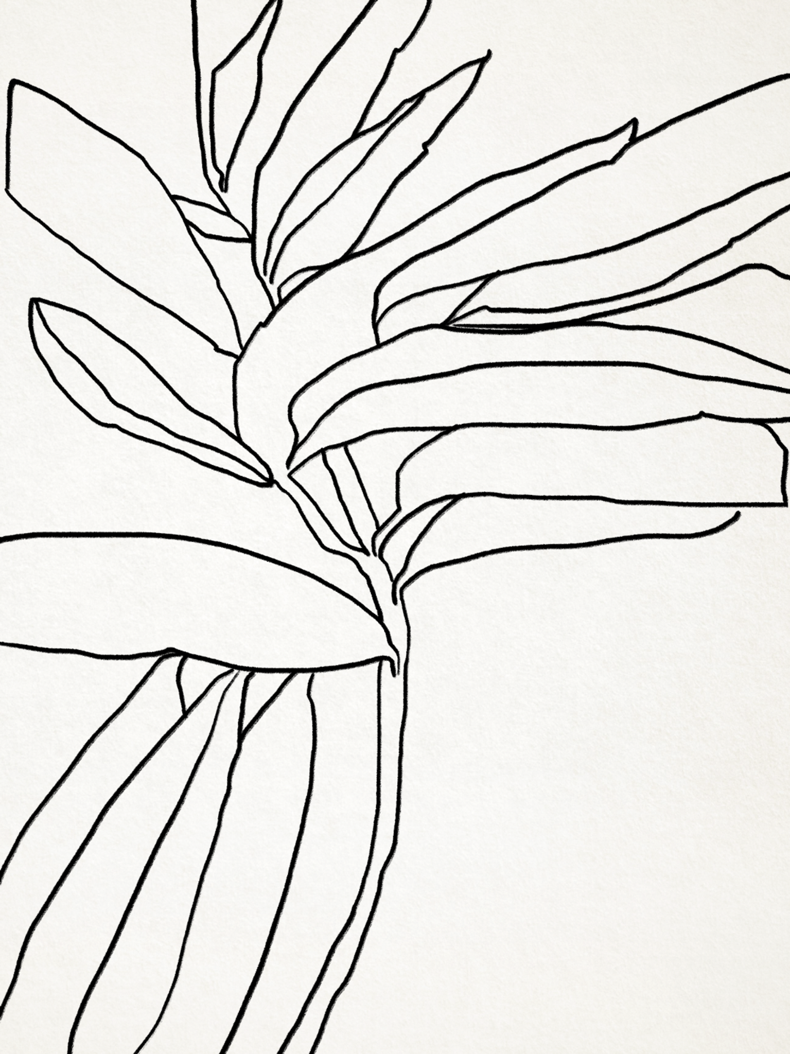 Illustration abstraite, 50x70cm