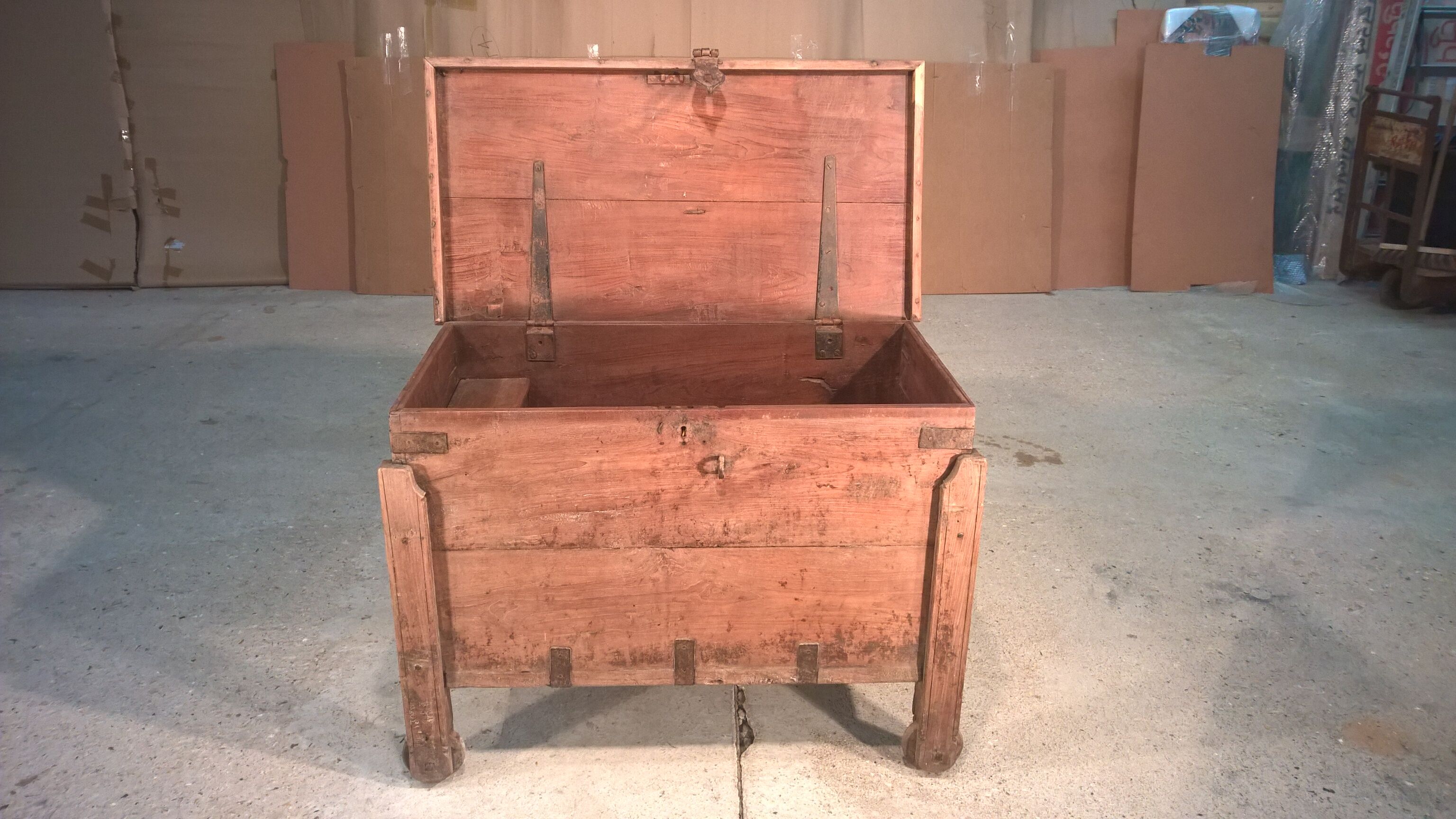 Trunk goannais ink310