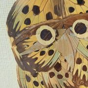 Framed tableau under glass, owl with butterfly wings.